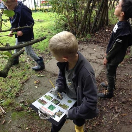 Year 2 Forest School