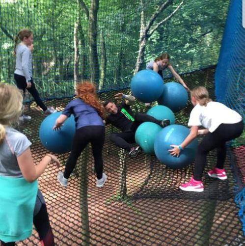 Treetop Trek