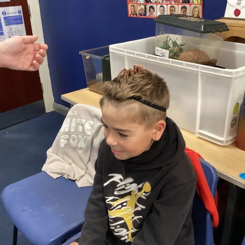 Animal Experience Day 2025